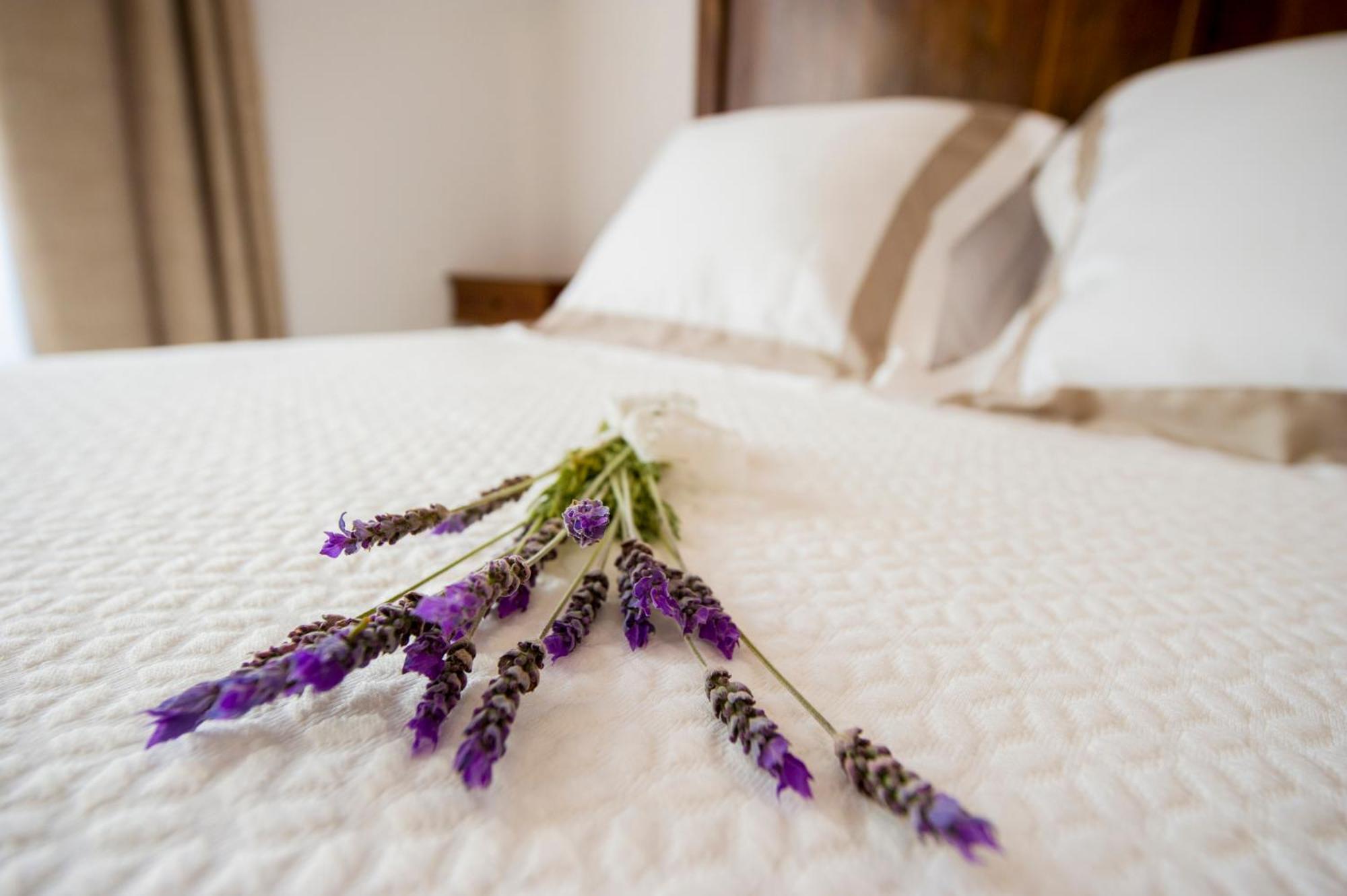 Bed and Breakfast Bolet Casa Modernista Castellvi de la Marca Zewnętrze zdjęcie